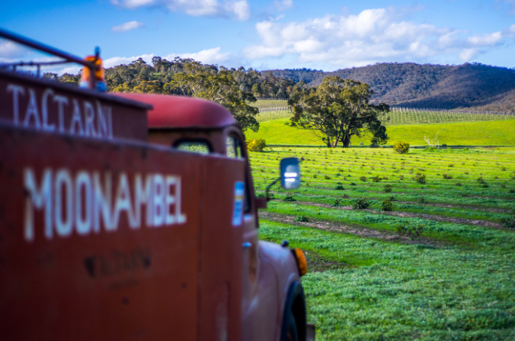 Image of a red truck at Taltarni vineyard